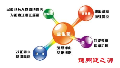 腸胃功能差，益生菌就可以解決一切
