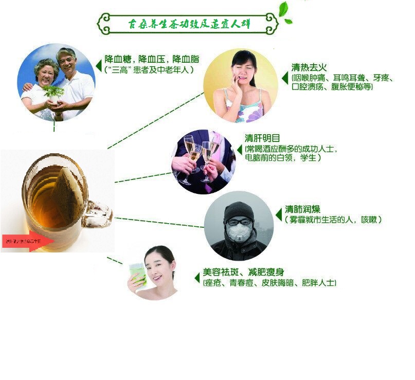 桑葉茶，營養(yǎng)長壽健康之茶